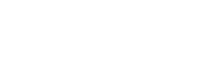Silver Network — Age-Friendly Living Network Association